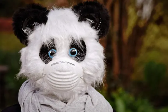 Vegadream Casino Soporte